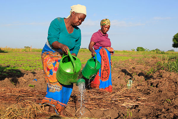 Humana People to People’s response to water and climate crisis