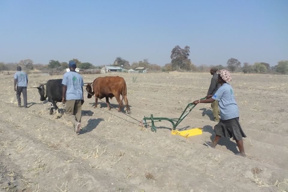 COP25: Climate Emergency in Namibia